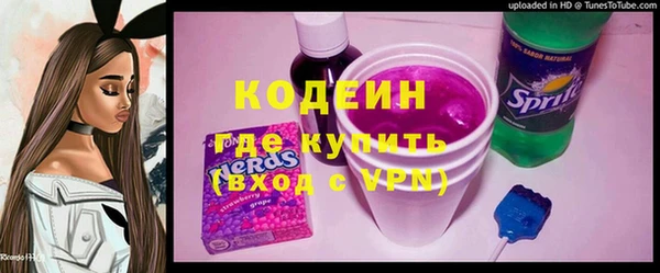 дживик Туринск
