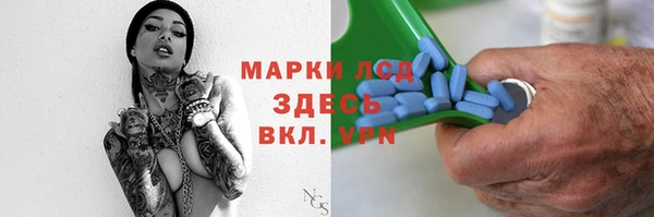 дживик Туринск