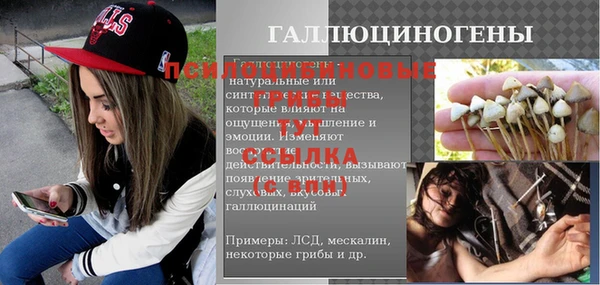гашик Абаза