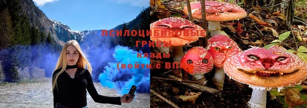 гашик Абаза