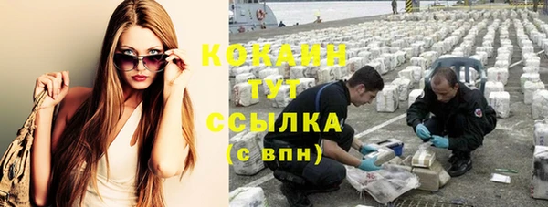 шишки Абинск
