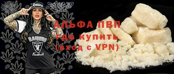 гашик Абаза