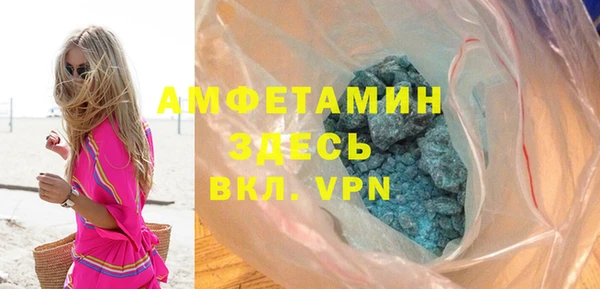 дживик Туринск