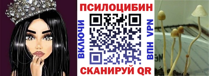 площадка как зайти  Норильск  Галлюциногенные грибы Magic Shrooms  kraken зеркало 