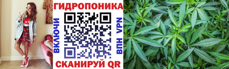 где купить наркоту hydra Канабис план Норильск